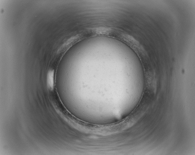 X0000086030028200703231223