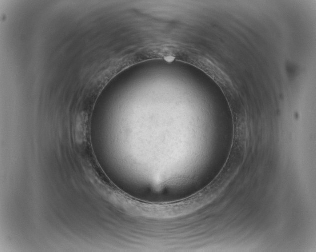 X0000086030030200703231223