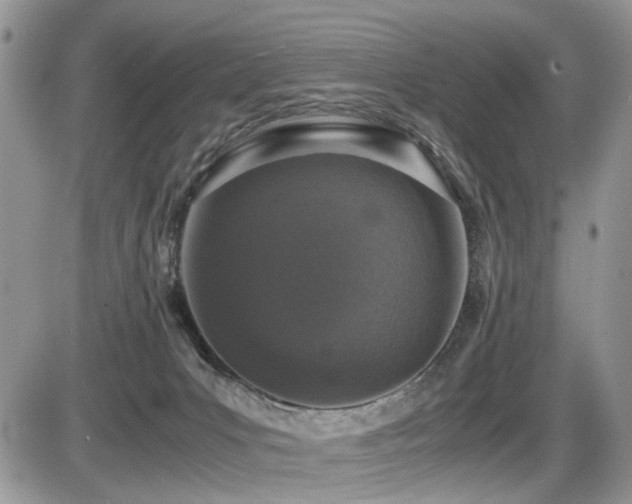 X0000086030031200703231223