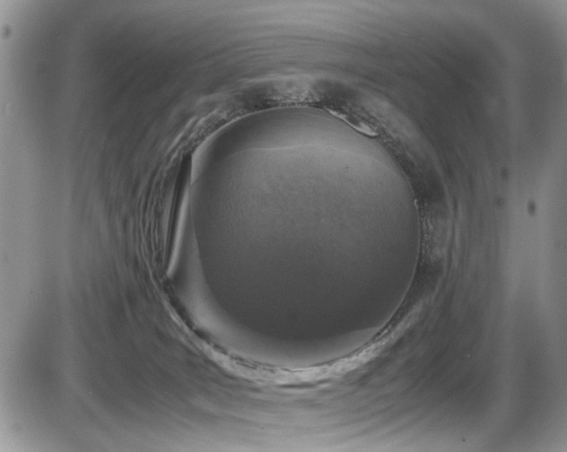 X0000086030035200703231223