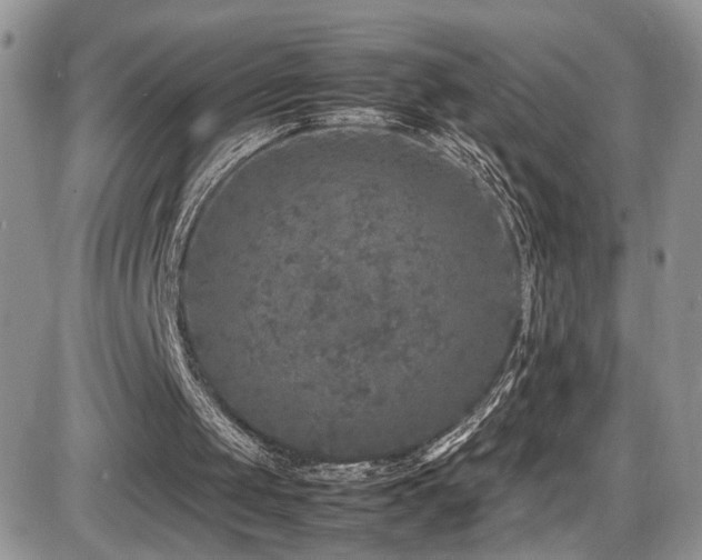 X0000086030049200703231222
