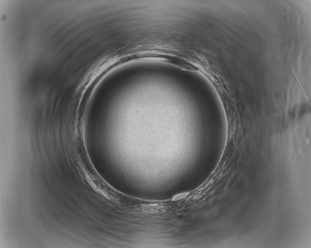 X0000086030050200703231222