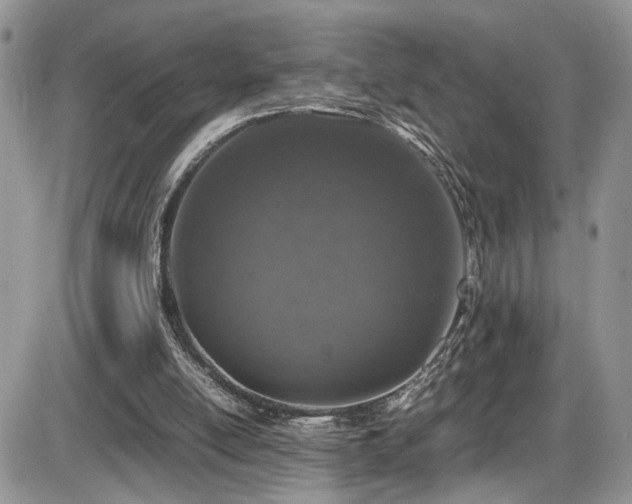 X0000086030054200703231222
