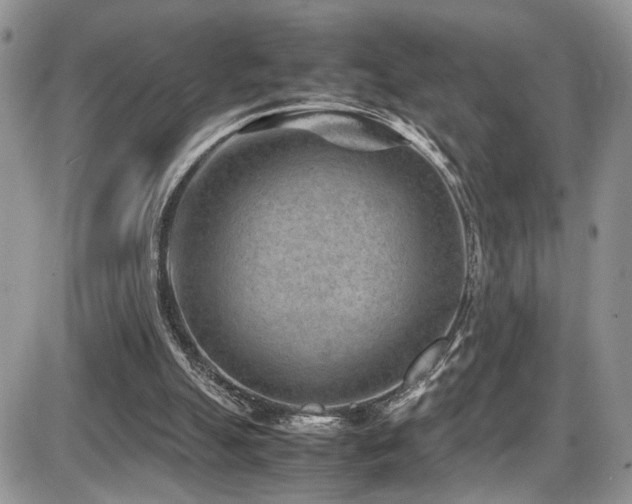 X0000086030055200703231222