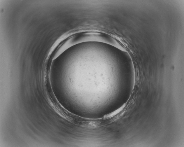 X0000086030056200703231222