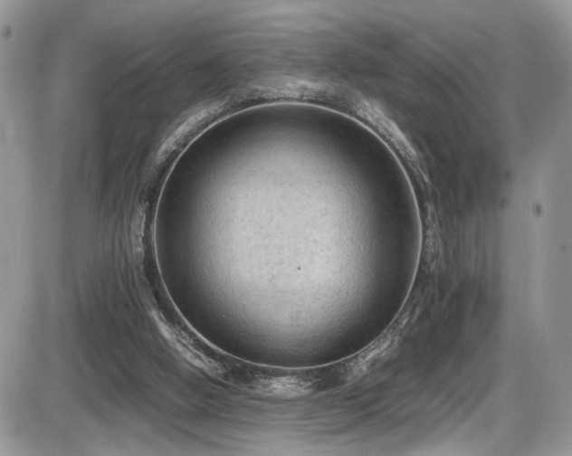 X0000086030058200703231222