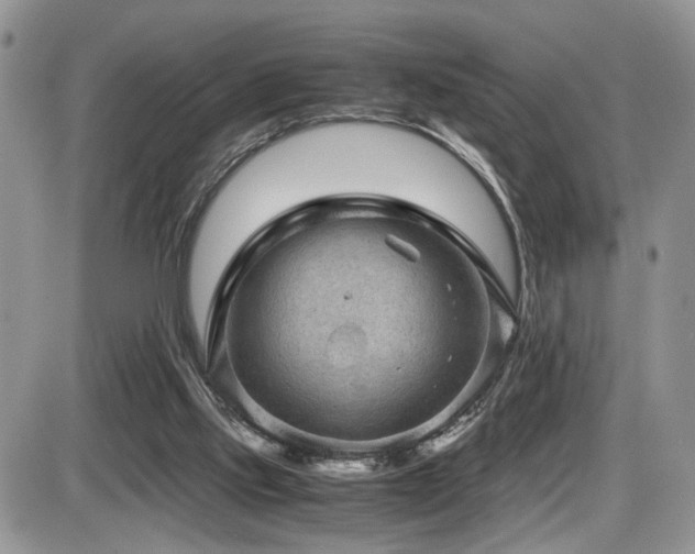 X0000086030061200703231222