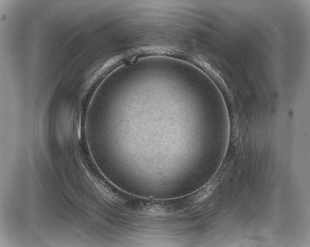 X0000086030062200703231222