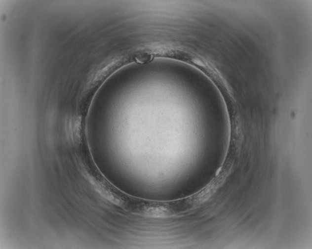 X0000086030066200703231222