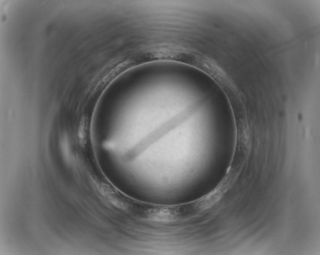 X0000086030074200703231223