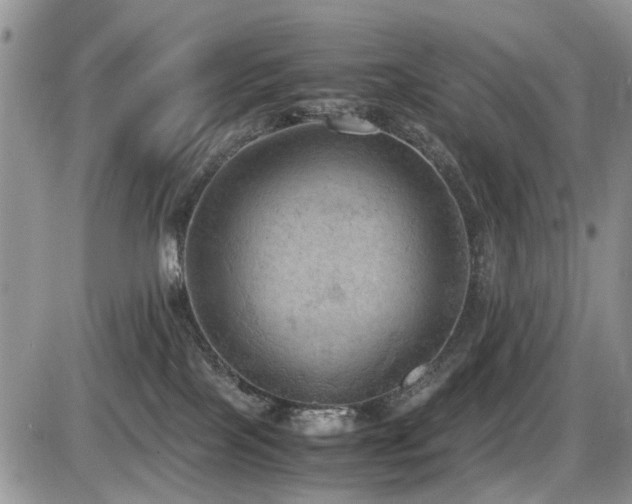 X0000086030089200703231223
