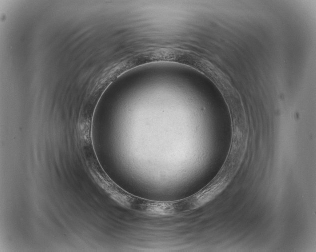 X0000086030096200703231223