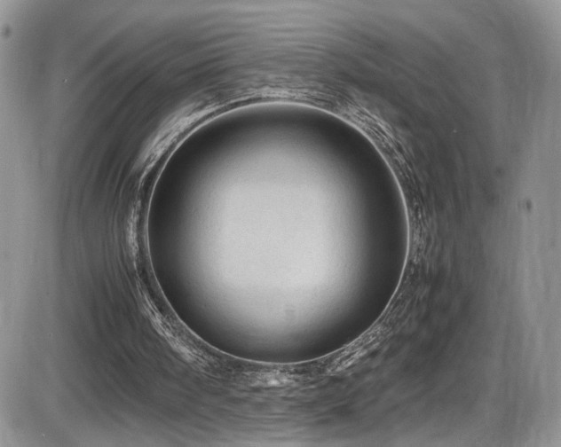 X0000086030098200703231222