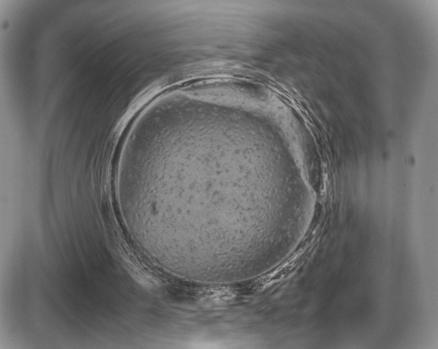 X0000086030099200703231222