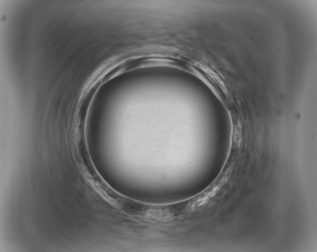 X0000086030101200703231222
