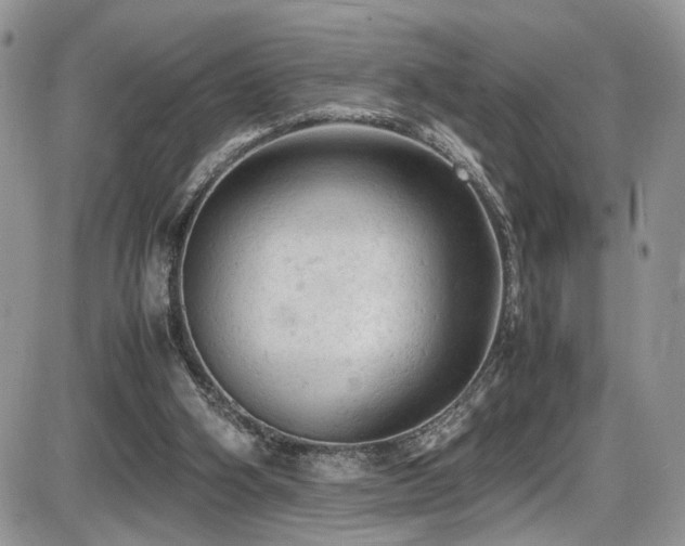 X0000086030106200703231222