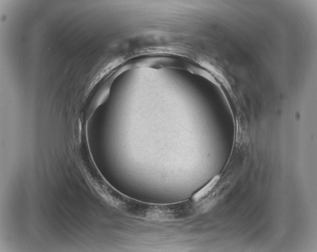 X0000086030109200703231222