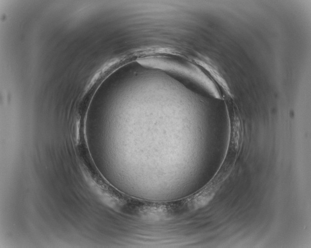 X0000086030110200703231222