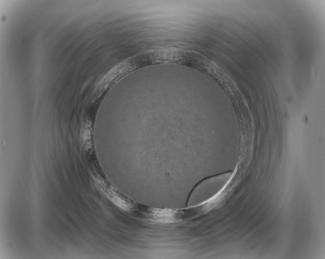 X0000086030144200703231221