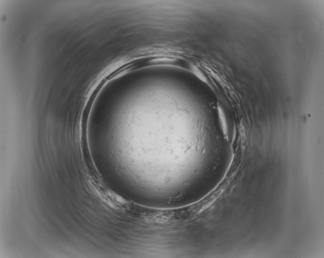 X0000086030148200703231221