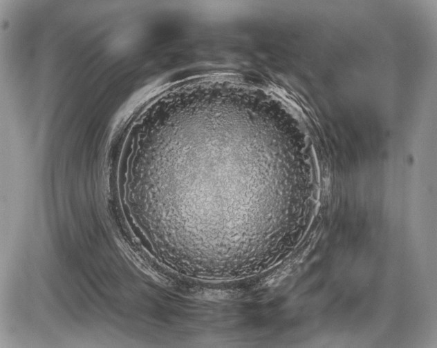 X0000086030149200703231221