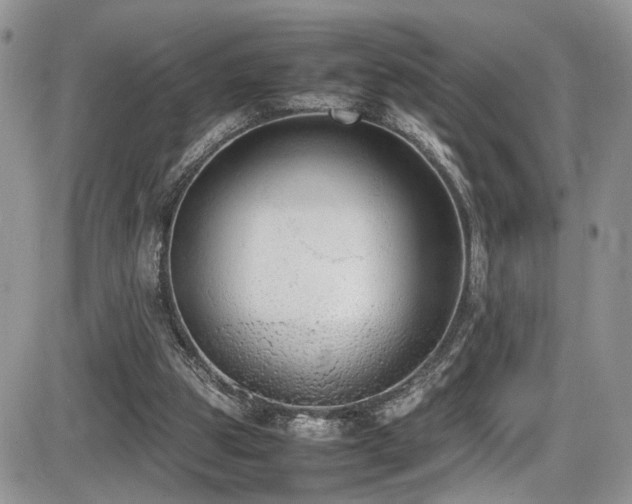 X0000086030153200703231221