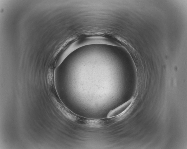 X0000086030192200703231221