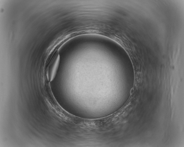 X0000086030194200703231221