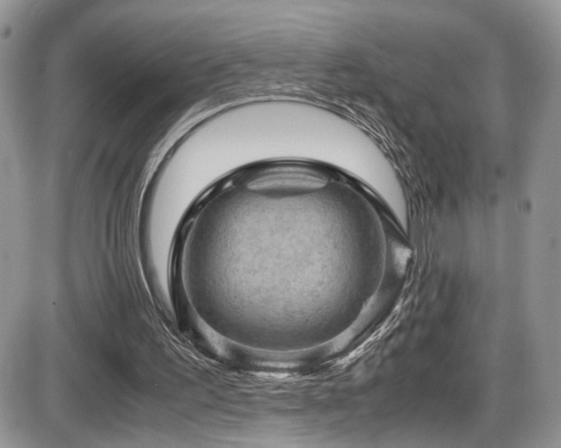 X0000086030195200703231221