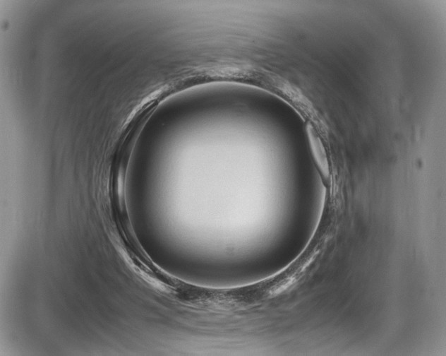 X0000086030201200703231220