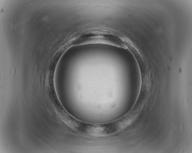 X0000086030217200703231220