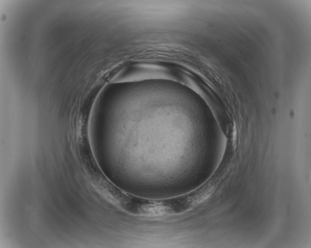 X0000086030219200703231220