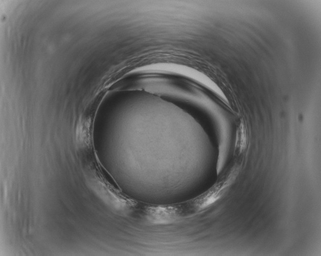 X0000086030239200703231220