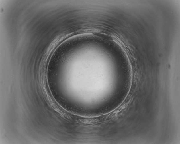X0000086030241200703231219