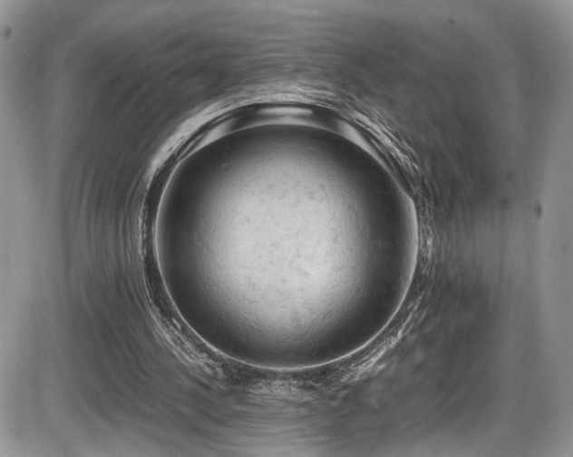 X0000086030244200703231219