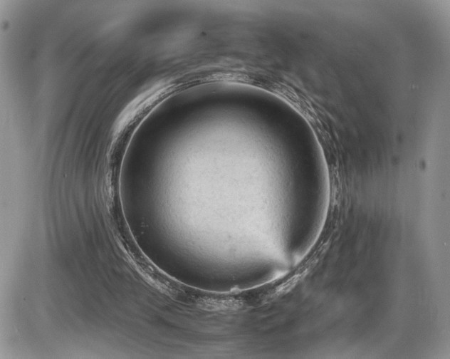 X0000086030245200703231219