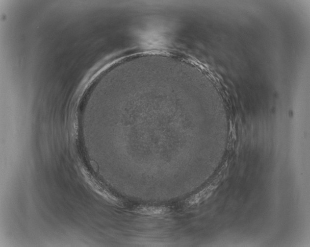 X0000086030247200703231219
