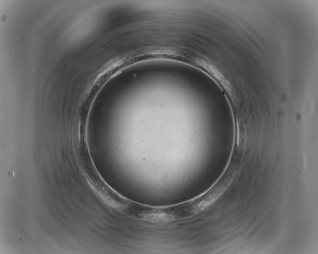 X0000086030253200703231219