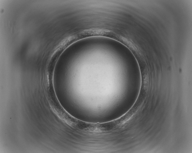 X0000086030254200703231219