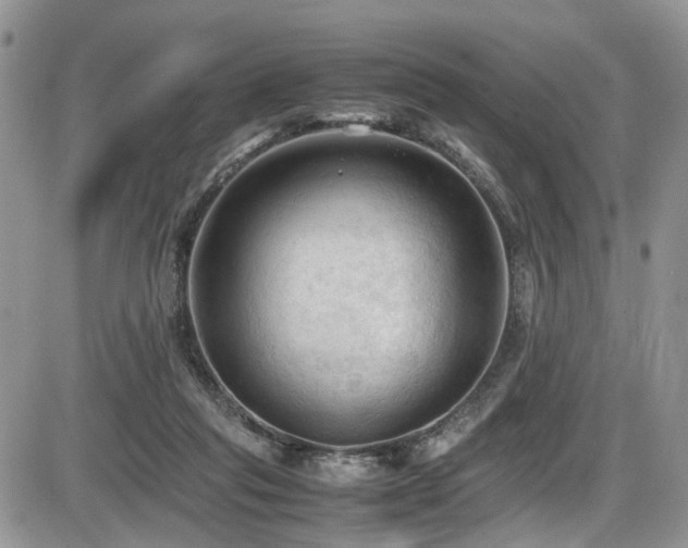 X0000086030261200703231219
