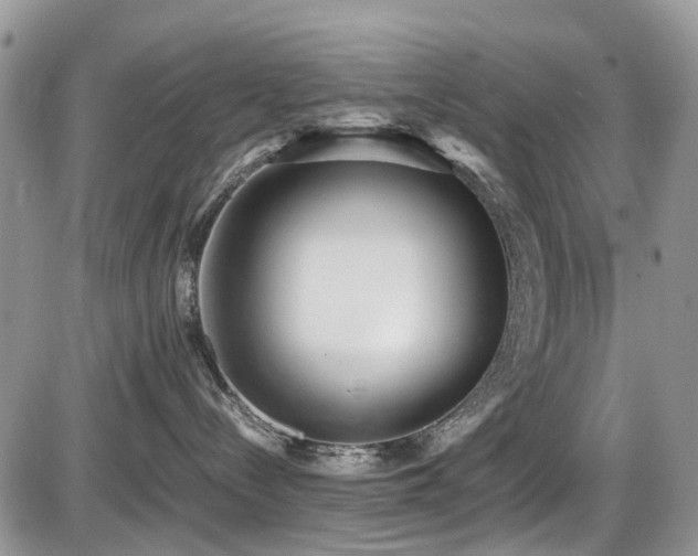 X0000086030288200703231220