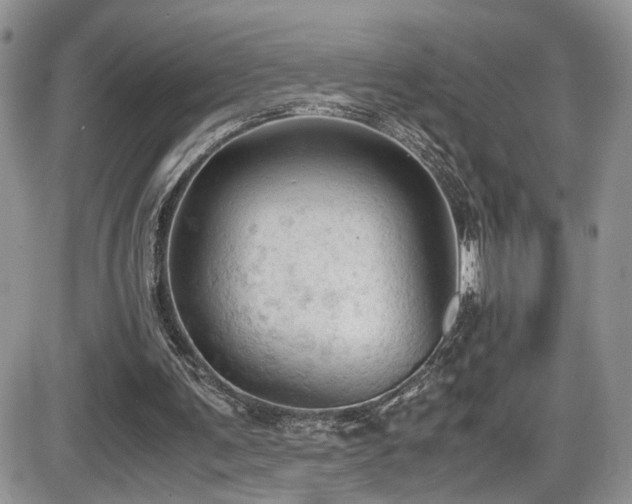 X0000086030291200703231219