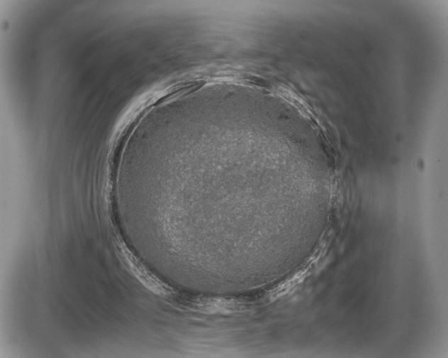 X0000086030293200703231219