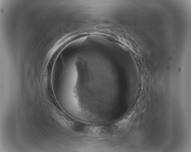 X0000086030295200703231219
