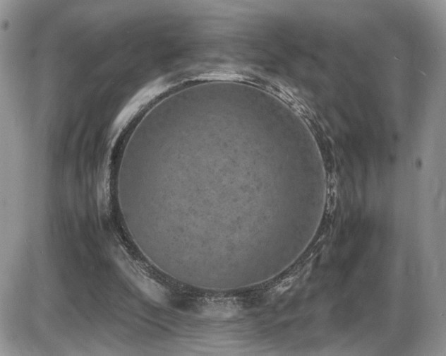 X0000086030296200703231219