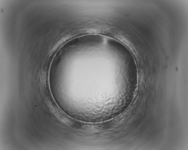 X0000086030297200703231219