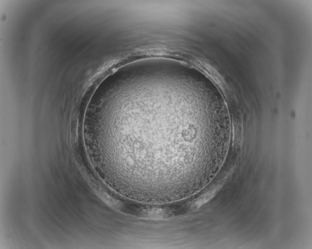 X0000086030301200703231219