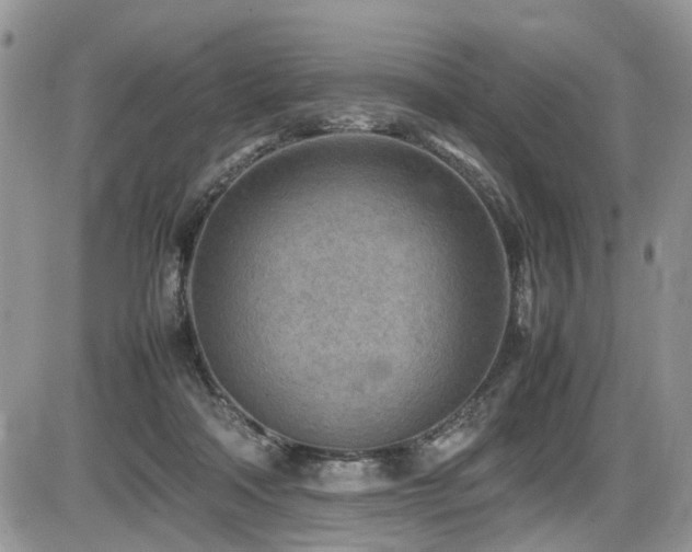 X0000086030314200703231219