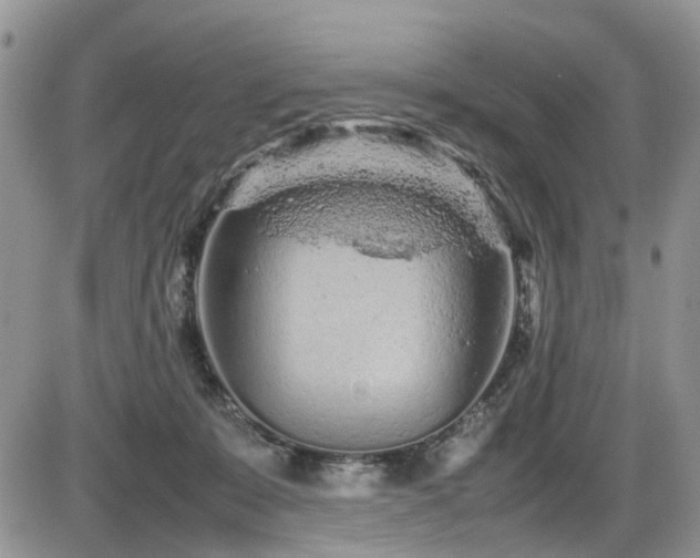 X0000086030319200703231218