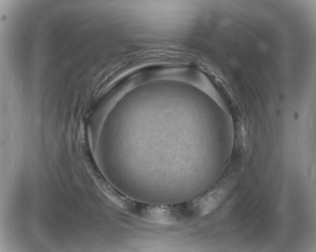 X0000086030325200703231218